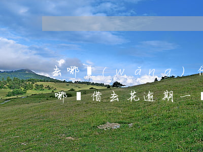 去哪網(wǎng)借去花逾期了2個月(去哪兒借去花逾期一個月會有什么后果)