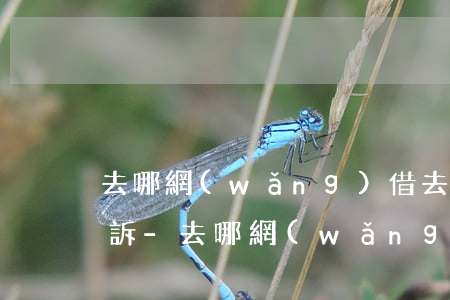 去哪網(wǎng)借去花逾期多長時間起訴-去哪網(wǎng)借去花有還款寬限期嗎