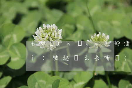 去哪網(wǎng)的借去花逾期會(huì)被起訴么 去哪網(wǎng)借去花逾期一個(gè)月,說(shuō)是外訪(fǎng)程序已經(jīng)下來(lái)了