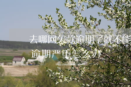 去哪网欠款逾期了就不能还款了吗-去哪网逾期严重怎么办