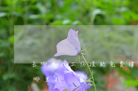 去哪里找工伤援助免费律师(免费法律援助去哪里找)