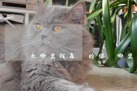 去哪里找靠譜的律師(哪里可以找到可靠的律師)