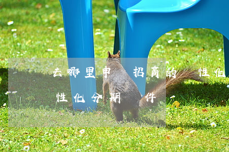 去哪里申請招商的個性化分期還款-招商個性化分期條件