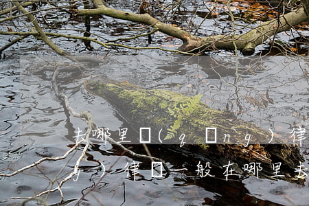 去哪里請(qǐng)律師合適(請(qǐng)律師一般在哪里去請(qǐng))
