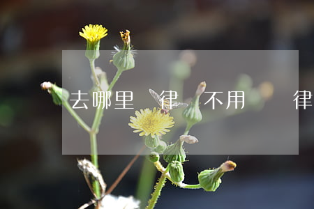 去哪里請律師不用錢(請律師要錢嗎)