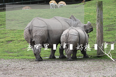 去哪里請律師好(想請律師去哪里找)