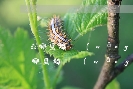 去哪里起訴網(wǎng)友借錢不還-去哪里起訴網(wǎng)友借錢不還呢