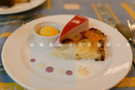 去哪里起诉不还钱的人（在哪起诉欠钱不还的）
