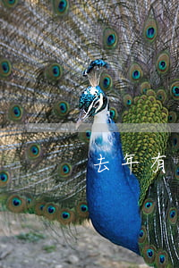 去年有过逾期今年能办信用卡吗