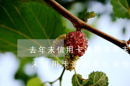 去年末信用卡逾期半年未偿信贷总额-去年末信用卡逾期半年未偿信贷总额是多少