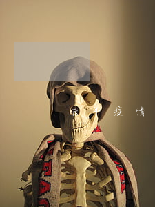 去年疫情在家白條逾期了怎么辦
