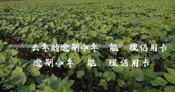 去年的逾期今年還能辦理信用卡嗎-去年的逾期今年還能辦理信用卡嗎
