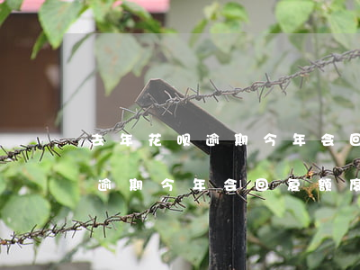 去年花呗逾期今年会回复额度吗-去年花呗逾期今年会回复额度吗怎么办