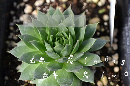去年虧損欠網(wǎng)貸還不了怎么解決(去年虧損欠網(wǎng)貸還不了怎么解決)