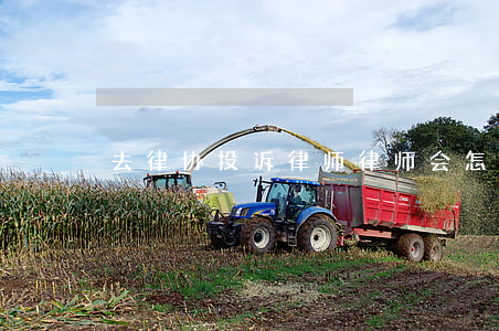 去律协投诉律师律师会怎样(律师可以投诉吗)