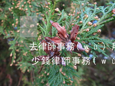 去律師事務(wù)所寫協(xié)議多少錢(律師事務(wù)所寫個(gè)協(xié)議多少費(fèi)用)