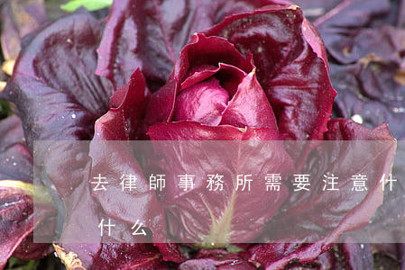 去律師事務所需要注意什么(找律師應該注意什么)