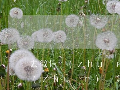 去微信轉(zhuǎn)賬怎么起訴(微信轉(zhuǎn)賬怎么起訴,但不知道對(duì)方所在地)