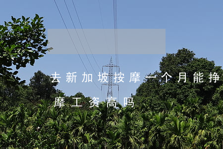 去新加坡按摩一个月能挣多少钱(在新加坡按摩工资高吗)