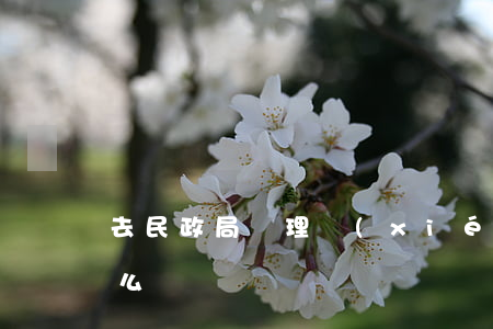 去民政局辦理協(xié)議離婚要注意什么