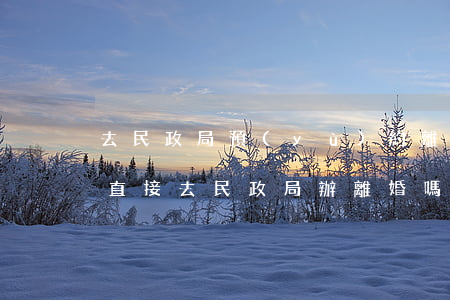 去民政局預(yù)約離婚要身份證嗎(可以直接去民政局辦離婚嗎?)