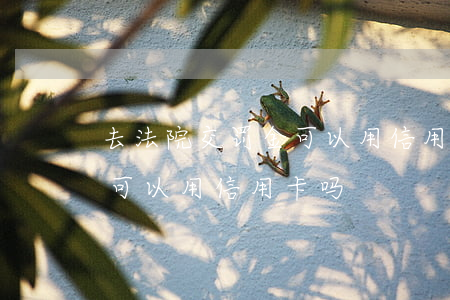 去法院交罚金可以用信用卡吗(交警队交罚款可以用信用卡吗)