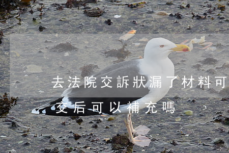 去法院交訴狀漏了材料可以補交嗎(上訴狀遞交后可以補充嗎)