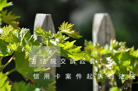 去法院交訴訟費(fèi)可以刷信用卡嗎(信用卡案件起訴到法院產(chǎn)生哪些費(fèi)用)