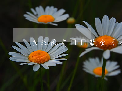 去法院交賠償款金可以刷卡嗎