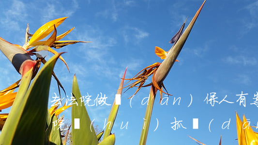去法院做擔(dān)保人有案底可以嗎(法院會(huì)抓擔(dān)保人嗎)