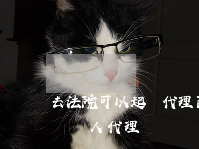 去法院可以起訴代理商或者廠家嗎(起訴可以讓別人代理嗎)
