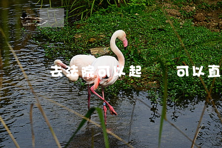 去法院可以起訴嗎(可以直接到法院起訴嗎)
