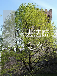 去法院可以起訴銀行嗎(被銀行起訴到法院了怎么辦)