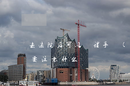 去法院后可以辦理手續(xù)嗎(去法院需要注意什么)