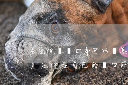 去法院帶戶口本可以嗎(怎樣申請(qǐng)法院在自己的戶口所在地)
