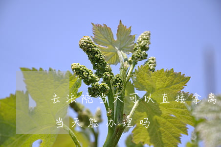 去法院当天可以直接拿离婚证吗(去法院离婚当天能办理吗)