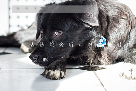 去法院旁听可以穿拖鞋吗(法院旁听穿着有要求吗)