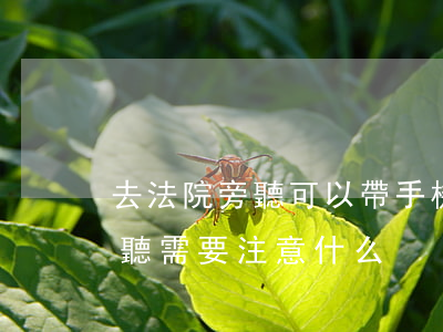 去法院旁聽可以帶手機(jī)嗎(去法院旁聽需要注意什么)