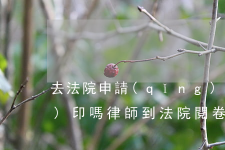 去法院申請(qǐng)閱卷可以復(fù)印嗎(律師到法院閱卷后多久開(kāi)庭)