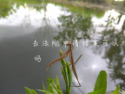 去法院申请结案可以吗(去法院申请结案可以吗)