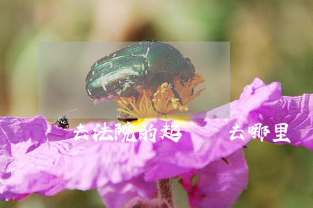 去法院的起訴書去哪里寫