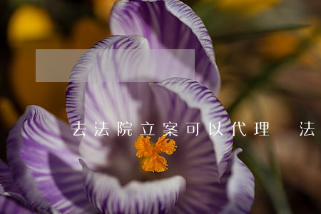 去法院立案可以代理嗎(法官可以代理案件嗎)