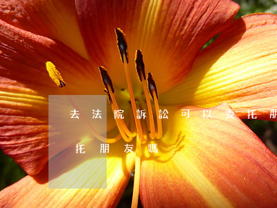 去法院訴訟可以委托朋友嗎(民事官司可以委托朋友嗎)
