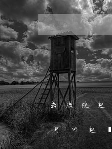 去法院起訴p2p逾期還款(p2p平臺逾期可以起訴嗎?)