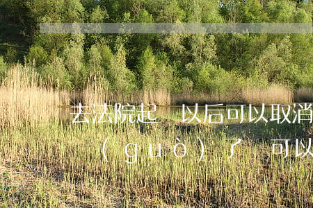 去法院起訴以后可以取消嗎(在法院立案起訴過(guò)了 還可以撤銷嗎)