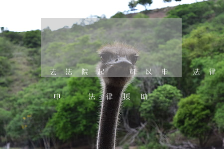 去法院起訴可以申請法律援助嗎(打官司可以申請法律援助嗎)