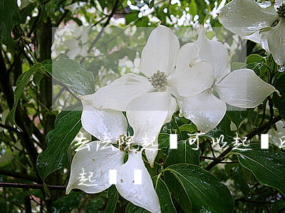 去法院起訴可以起訴成功嗎(自己可以去法院起訴嗎)