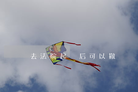 去法院起訴后可以撤訴嗎(被起訴后可以撤訴嗎)