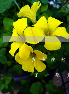 去法院起訴多久會(huì)收到傳票(起訴了一般多久可以收到傳票)
