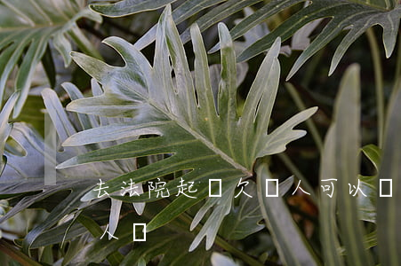 去法院起訴欠債人可以嗎(自己可以起訴欠款人嗎)